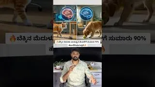 Thumbnail: This Is Why Cats Are Smarter Than You Think! 🐱🧠 Amazing Cat #shorts #wildlife #nature
