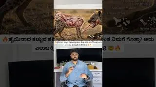 Thumbnail: Hyena That Will Blow Your Mind! 🐺 | Stronger Bite Than a Lion? 😱#shorts #wildlife #nature