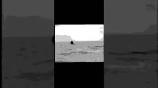 Thumbnail: New From Niacinamide - A Study Of Long Goodbyes And Dinosaurs. Out 27 June. #ambient #soundscape