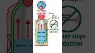 Thumbnail: How thermos flask works? #shorts #thermos #whatisinside