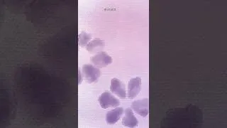 Thumbnail: ipad wallpaper for summer #artbymimi #procreate #flower #ipadwallpaper #purple #pinterest #iphone