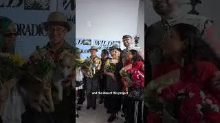 Thumbnail: Wonderful Wild Sporadic Kin featuring the oral history project by artist & scholar Álvaro D. Márquez