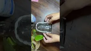 Thumbnail: Unique Bottle Craft | Bottle Art  | Mouldit Clay Art #bottlecraft #claycraft #moulditclayart #shorts