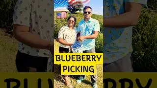 Thumbnail: 🇺🇸 Blueberry Picking 🫐with family #shorts #arthiprem #youtubeshorts #tamil #shortvideo
