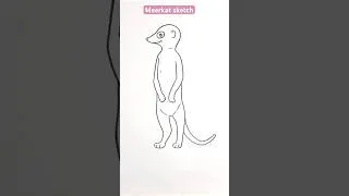 Thumbnail: Meerkat sketches #trending #shorts #shortvideo #viral #viralshorts