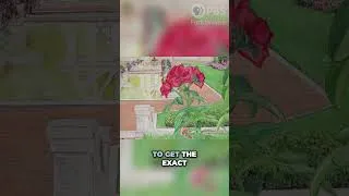 Thumbnail: Mastering Local Landscape Painting w/ Emily Mercedes