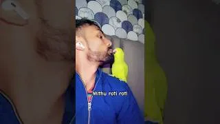 Thumbnail: mithu roti roti talking parrot #shortvideo