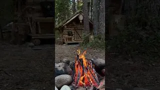 Thumbnail: There are no mosquitoes near my log cabin in the woods this year 😎