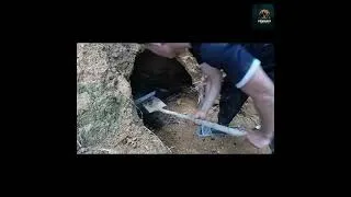 Thumbnail: #survival #creativesurvival #outdoorsurvival #bushcraft #adaptablesurvival #wildernesssurvival