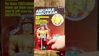 Thumbnail: Not a Ninja Turtle Action Figure