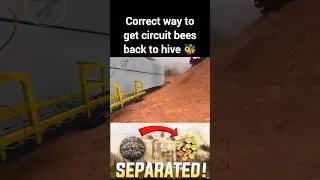Thumbnail: Circuit bees back to Hive Mortal Company #mortalcompany #lethalcompanygame #lethalcompanygameplay