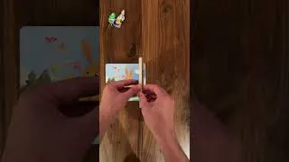 Thumbnail: Ash reads I’m a Little Bunny by Hannah Eliot illustrated by Liz Brizzi #boardbook #bedtimestorybook