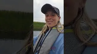 Thumbnail: Extreme Heat and Busy Week #cabinadventure #home #kayaking