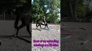 Thumbnail: Ride smarter, not longer. Quality over quantity every time🐎 #horsetraining #polework #equestrianmum