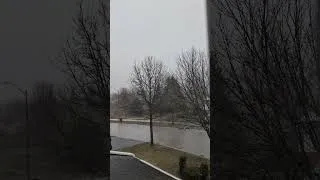 Thumbnail: Rain, thunder and lightning. And a bird chirping.