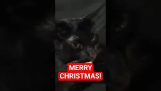 Thumbnail: Merry Christmas from Pixie the Cat!