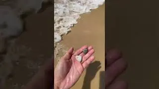 Thumbnail: Find Shell on the beach 1