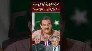 Thumbnail: Politics or Drama? The Innocence of Shehbaz Sharif  Exposed! #shorts