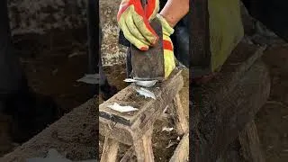 Thumbnail: Master trimmed donkey's hooves skillfully  #donkey #farming