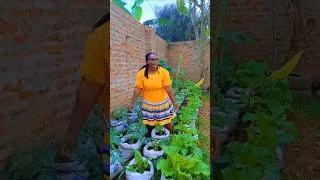 Thumbnail: Growing Vegetables is this Simple!