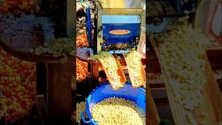 Thumbnail: Pulping Our Arabica Coffee Manually #coffeefarming #coffee #farmlife