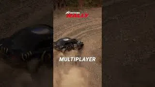 Thumbnail: Update 0.5 for the Early Access Program of Assetto Corsa Rally is almost here and it's a big one!