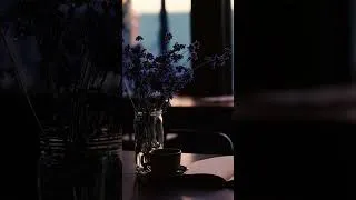 Thumbnail: Catmint & Closing Time #cafejazz #jazzplaylist#studymusic