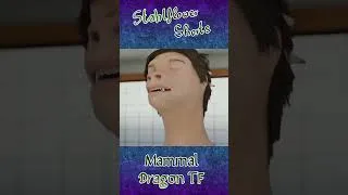 Thumbnail: The mammal dragon tf short 2x