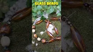 Thumbnail: 🤎 Handmade Glass Bead Bracelets ✨ Which One Would You Wear?