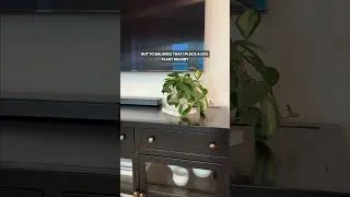 Thumbnail: Struggling to make your plants look natural in your home?