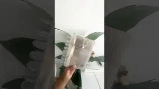 Thumbnail: Planner view