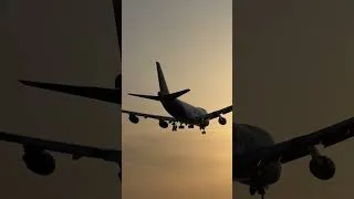 Thumbnail: Atlas 747 Arrival in Delhi – Golden Hour Landing