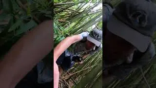 Thumbnail: Where even am I?