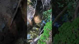 Thumbnail: where am I?