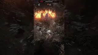 Thumbnail: The Red Vale | Path of Exile 2 Ambience