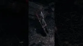Thumbnail: Clearfell Forest Clearing | Path of Exile 2 Ambience