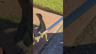 Thumbnail: This has got to be the WORST grass edging I've ever done 🤣 #grassmowing #lawncare