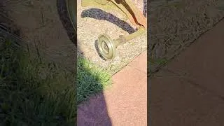Thumbnail: Grass Edging with Tanaka 2 Stroke Line Trimmer #grassmowing #lawncare
