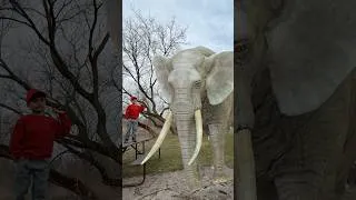 Thumbnail: ABC Animals | Animals name with E sound | learn Animals name and sound | Educational video for kids