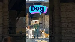 Thumbnail: ABC Animals | Learn Animals name start with D | Educational video for kids and toddlers