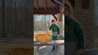 Thumbnail: Animals with C | ABC Animals for kids| Educational video for kids