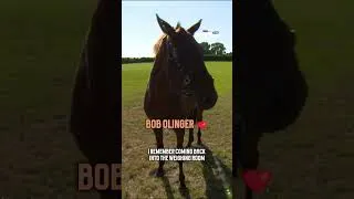 Thumbnail: Bob Olinger looks great in retirement! 😍 #UnbridledOnTour  #horseracing