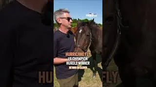Thumbnail: Faugheen, Hurricane Fly, Beef Or Salmon & Sizing John in retirement! 😍 #horseracing