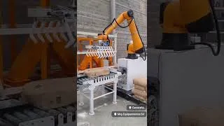 Thumbnail: AUBO iS35 Cobot for Palletizing Solutions