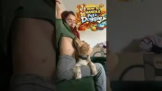 Thumbnail: PET CARE ...CRAZY ..!!!!! #viral