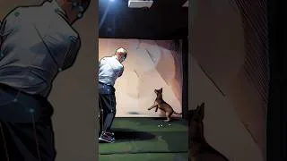 Thumbnail: Arm Rotation, Swing Plane & Release #golf #golfswing #golftips #golfer #golfing