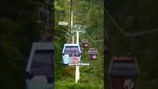 Thumbnail: Essential Safety Tips for Solo Female Travelers in Malaysia#shortsvideo