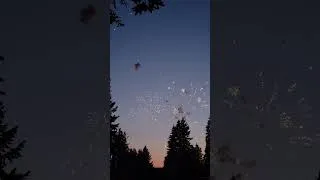 Thumbnail: Early Fireworks July 4th 2023