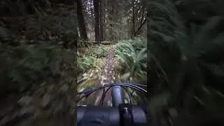 Thumbnail: Small 14mph Crash on Flat Part of Lewis River Trail
