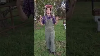 Thumbnail: update on sending letters to Aunty